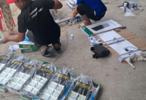 Lợi Ích Đèn Năng Lượng Mặt Trời